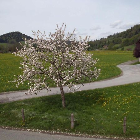Ferienwohnung Annele Hittisau Exterior photo